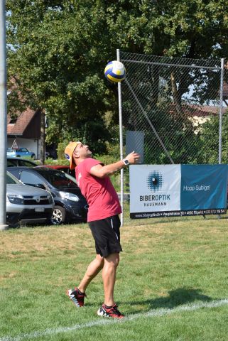 Bild (100)
